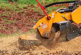 Best Organic Lawn Care Solutions  in North New Hyde Park, NY