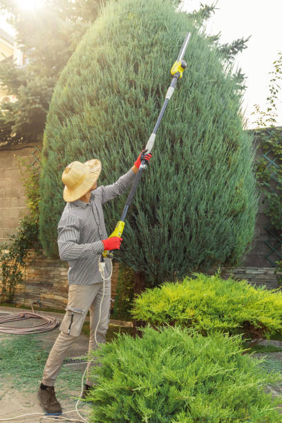 Best Weed Control  in North New Hyde Park, NY